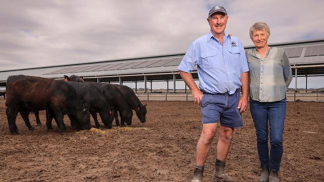 David Gillette masters the art of cattle farming