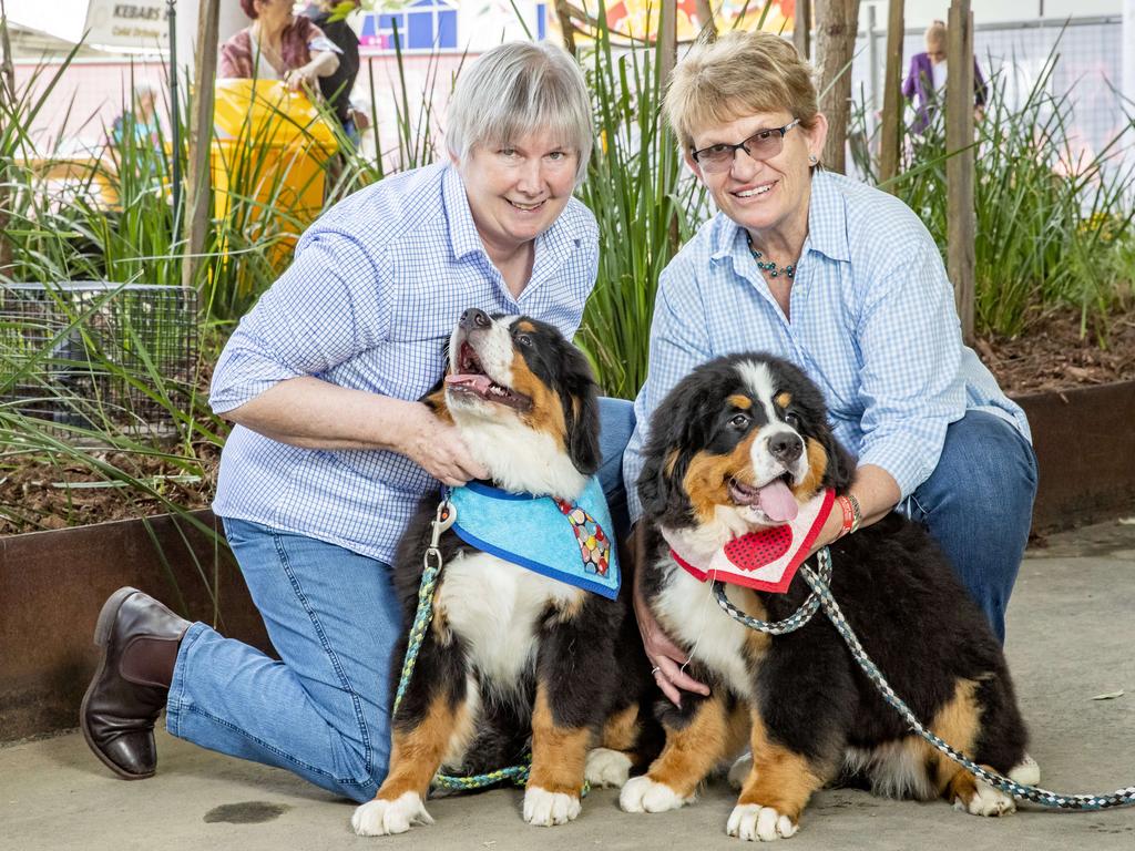 Annie Bell and Teresa Ziolkowski with Vincent and Teresa the Bernese Mountain dogs at the Ekka at the RNA Showgrounds in Bowen Hills on Thursday. Picture: Richard Walker