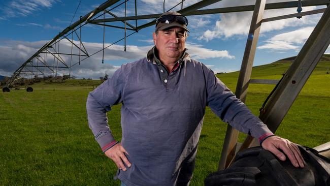 George Shea on Lyndall Farm at Hamilton in Tasmania.