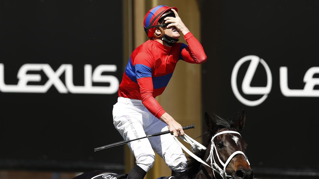 Verry Elleegant won the race that stops a nation. Photo by Darrian Traynor/Getty Images