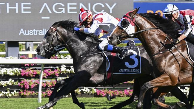 Celestial Legend will chase Doncaster glory at Royal Randwick on Saturday.