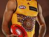 Hawk allegations may not be heard in AFL probe