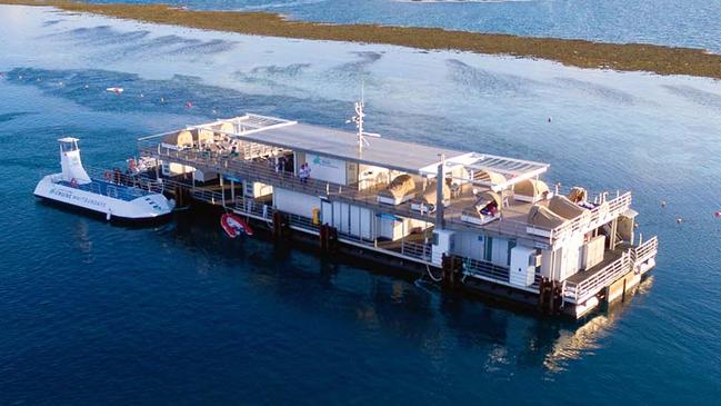 Reefworld pontoon on Hardy Reef. Picture: supplied