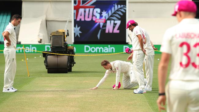 Australia’s Steve Smith checks the pitch at the SCG ahead of the third Test against New Zealand starting on Friday. Picture: Brett Costello