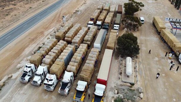 Almost a dozen trucks loaded with 2000 bales of hay are set to arrive in NSW from WA on Wednesday.