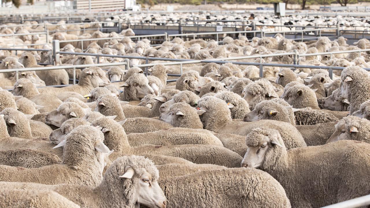 The complex market shift behind livestock sell-off