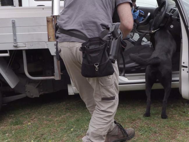 A police dog checks out a car during a raid in Melbourne's south on Tuesday. Picture: Victoria Police