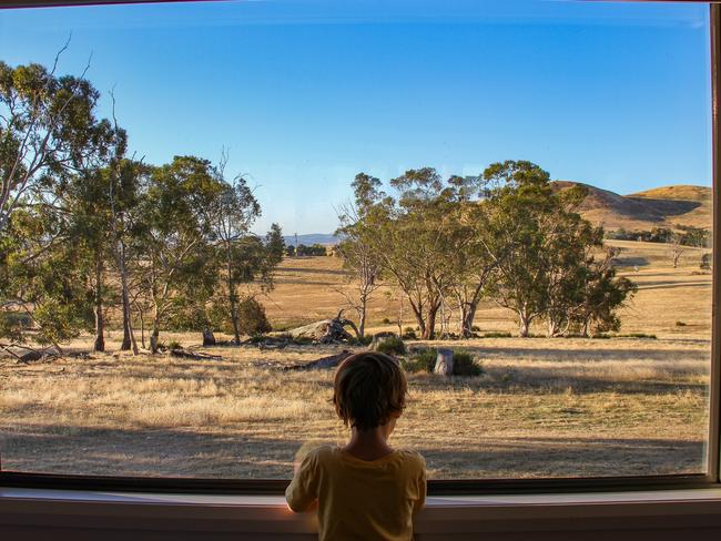 A guest enjoys the view from Boobook cottage at Curringa Farm at Hamilton, in Tasmania's Derwent Valley. Picture: Linda Smith