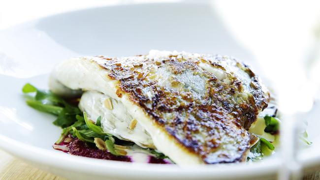 Garfish’s changing pris fixe menu has dishes like the mirror dory with rocket, roast fennel, beetroot puree and almond flakes from the blackboard. Picture: Braden Fastier