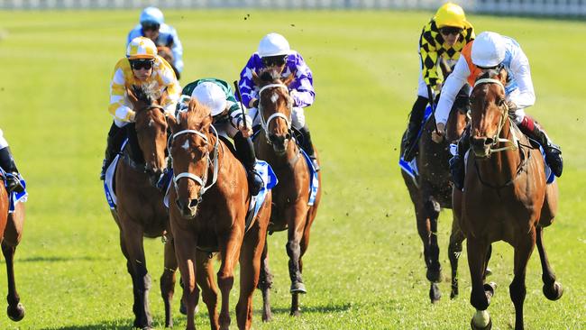 Montefilia (right) had too much for the crack field on the weekend. Picture: Getty Images