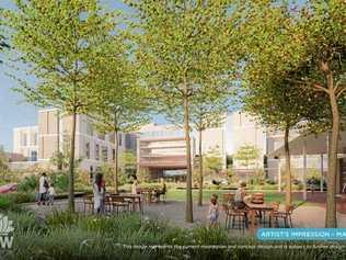 The concept design of the new $534m Tweed Valley Hospital has been revealed.