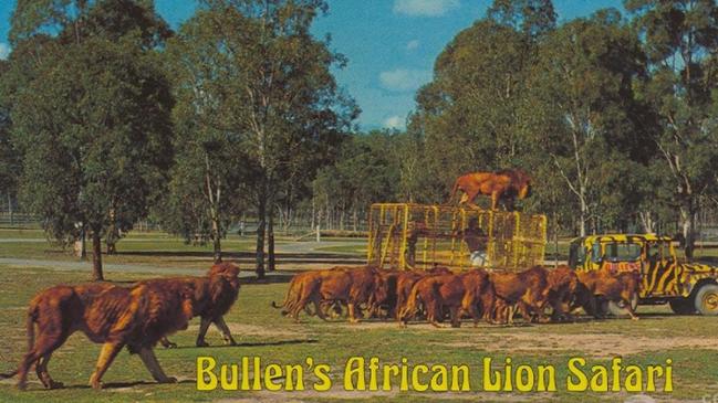 Dinner time at Bullen’s African Lions Safari.