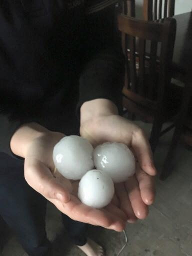 Giant hail in Blyth. Picture: Tanya Penna/Plains Producer Newspaper