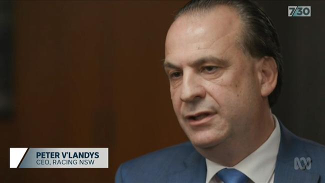 Peter V’Landys agreed to appear in the program to respond to claims on behalf of Racing NSW, saying no horses in the state were being sent to abattoirs. Picture: ABC