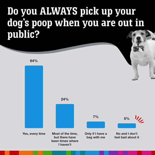 Most people do pick up after their dogs, but a shocking 3% don’t care. Picture: news.com.au