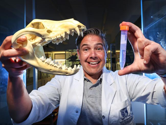 Professor Andrew Pask with a Tasmanian tiger skull and a test tube containing DNA. Picture: David Caird