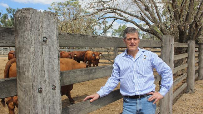 AgForce chief executive Michael Guerin.