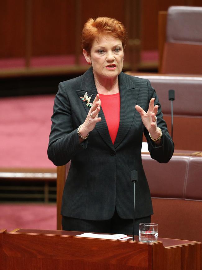 Pauline Hanson sparked anger when she suggested children with austims were holding back their classmates. Picture: Ray Strange.