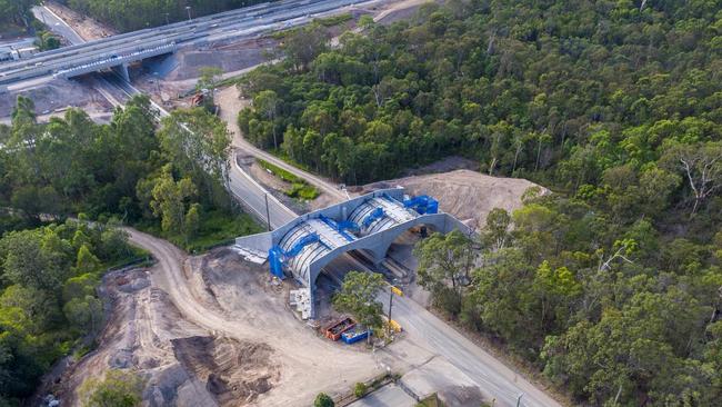 A wildlife overpass was included in the Logan Motorway construction at Illaweena St.