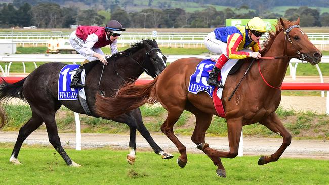 NSW sprinter Spieth. Picture: Derrick den Hollander