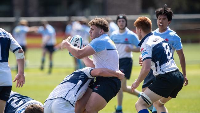 The young guns of rugby in Sydney this week.