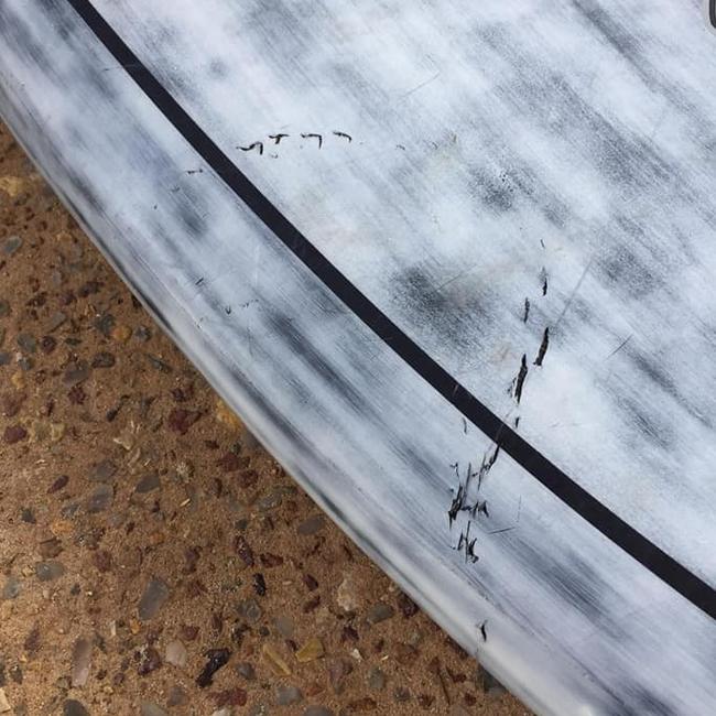 Gary May's paddle board was bitten by an unknown species of shark in Yallingup. Picture: Facebook