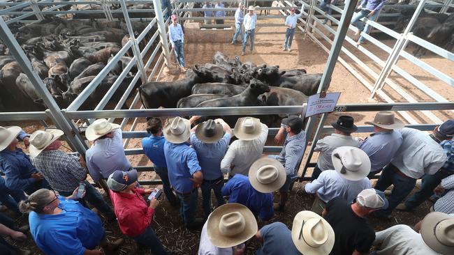 Buyers line the rail at Barnawartha. Picture: Yuri Kouzmin