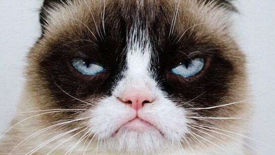 INTERNET IMAGE: Grumpy cat puts on a sad face.