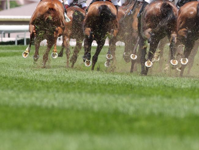 A Ballina horse trainer has been disqualified by Racing NSW.