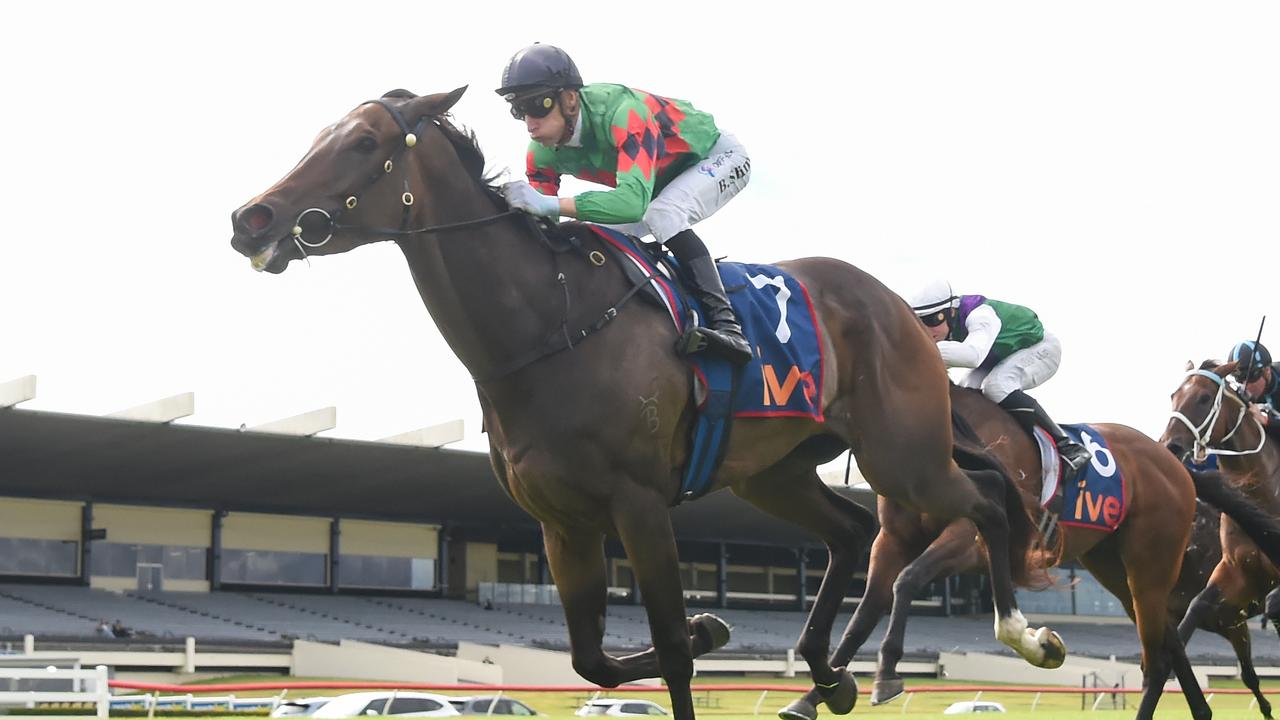 Glenfinnan can return to winning ways when the gelding heads to Cranbourne on Friday night. Picture: Racing Photos via Getty Images