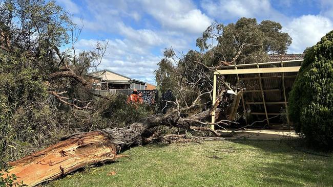 A tree has fallen through a home in Craigieburn. Picture: Facebook