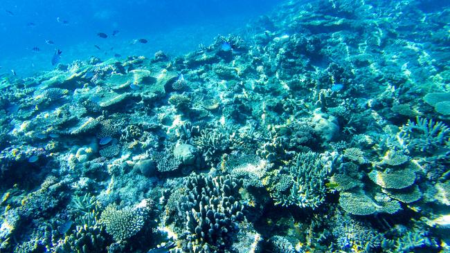 The Great Barrier Reef.