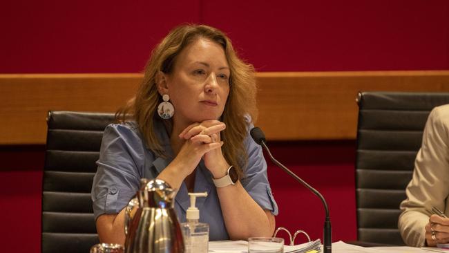 Greens MP Abigail Boyd raised concerns over an incoming law that would criminalise coercive control. Picture: NCA NewsWire/ Simon Bullard