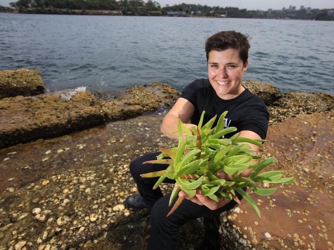 Chef Claire Van Vuuren is part of Sunset 20 North Festival, where the food focus is on native ingredients. Claire photographed with Pigface at Sydney Harbour. Picture: Bob Barker