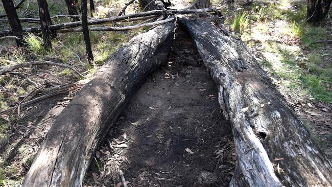 Murder victim Karen Ristevski’s badly decomposed body was found between these two logs in the Macedon Regional Park on February 20. Picture: Nicole Garmston