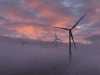 Renewables ‘biggest change since white man turned up with sheep’