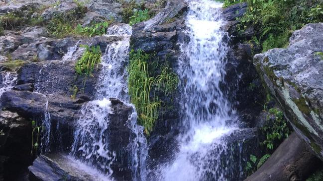 A 19-year-old Manunda woman has died after a fall at Isabella Falls at Edmonton.