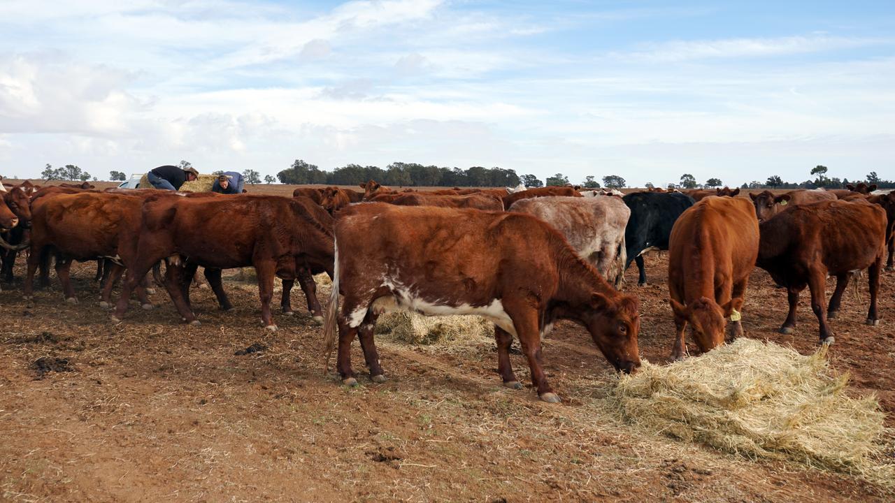 Farmers may need to rethink their practices if Australia is to continue growing. Picture: Bradley Guest/AAP