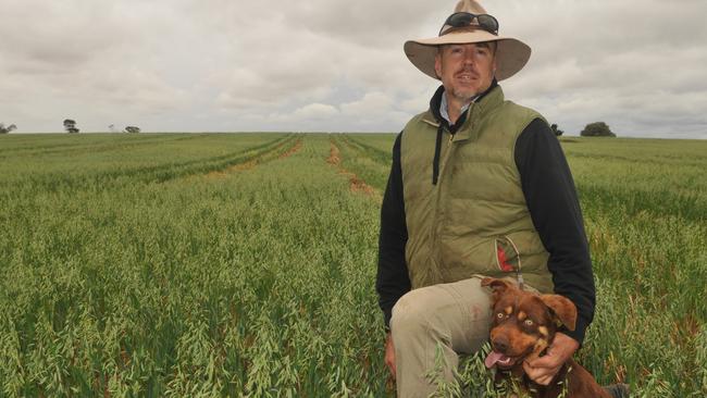 Farmer Ian Arney says last week’s rain was a “lifeline” for his crops. Picture: James Wagstaff