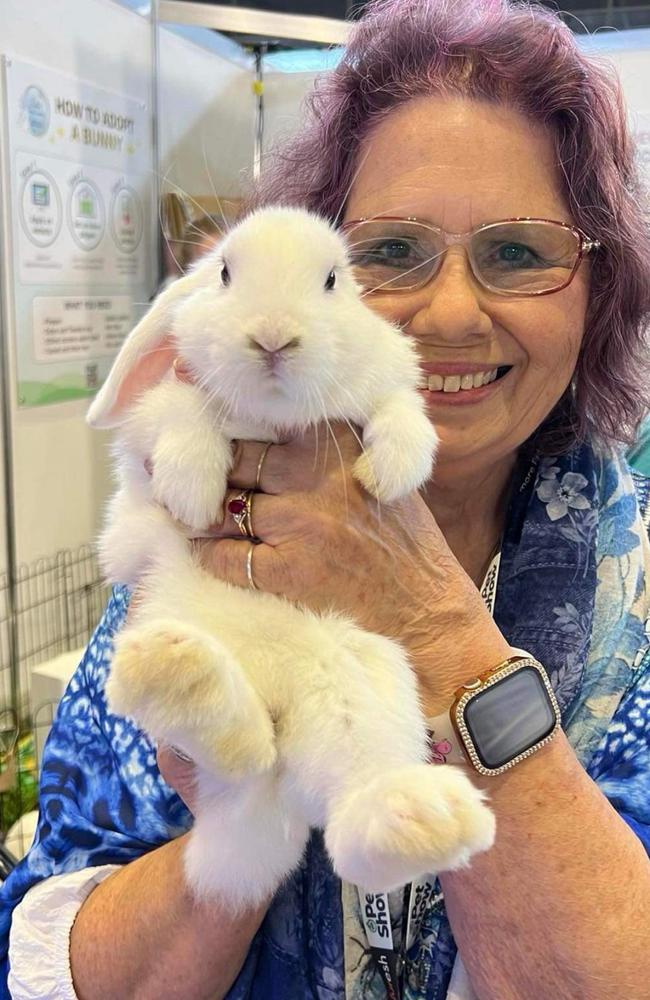 Rabbit Sanctuary co-founder Kim Cooney has been recruiting foster carers, while the Animal Rights and Rescue Group has noticed a spike in bunny surrenders.