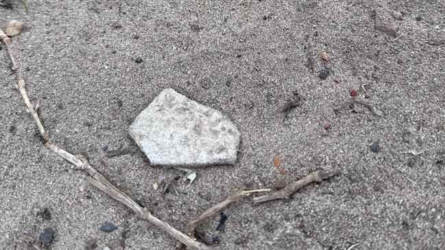 Bonded asbestos was found at the children’s playground in North Bondi. Picture: Harrison Finlay