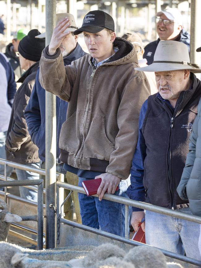 Buyers at the rail at Bendigo sale. Picture: Zoe Phillips