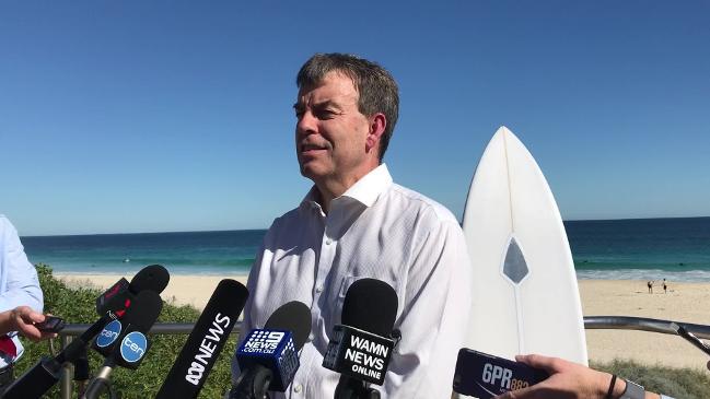 Report delay holding up 'life saving' shark deterrent