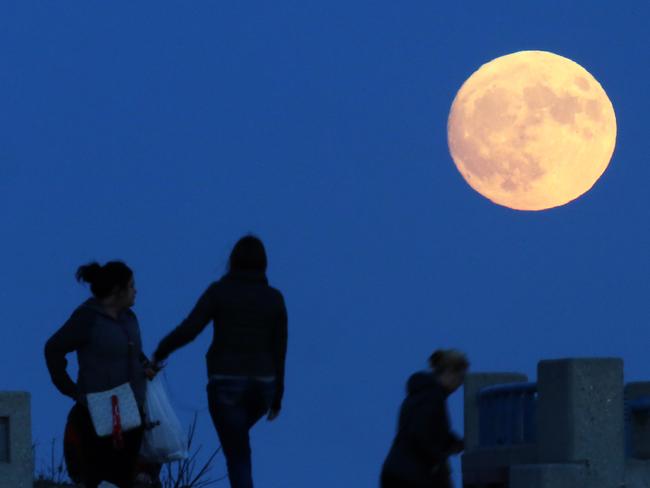 On the eve of the so-called supermoon, visitors enjoy an unobstructed view of the spectacle as it ascends over the Lake Michigan shoreline in Milwaukee, Wis., Sunday, Nov. 13, 2016. Monday’s supermoon will be extra super - it will be the closest the moon comes to us in almost 69 years. And it won’t happen again for another 18 years. Picture: John Hart/Wisconsin State Journal via AP