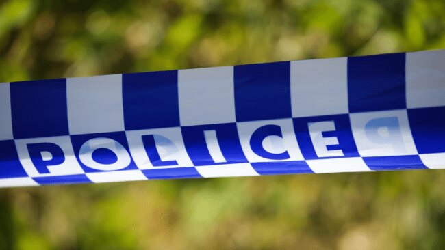 Two children found dead in Blue Mountains home