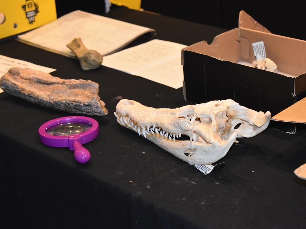 Bones at the Queensland Museum Unearthed event in Mackay, August 2021. Picture: Lillian Watkins