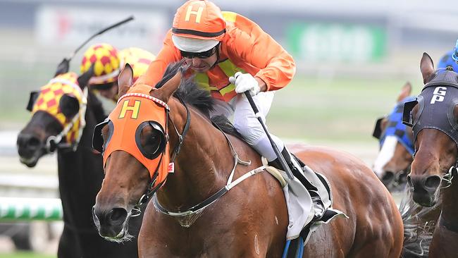 The Harrovian is well-placed to continue his winning streak. Picture: Trackside Photography