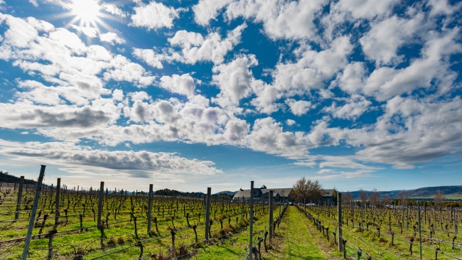 5 Tassie wineries turning heads