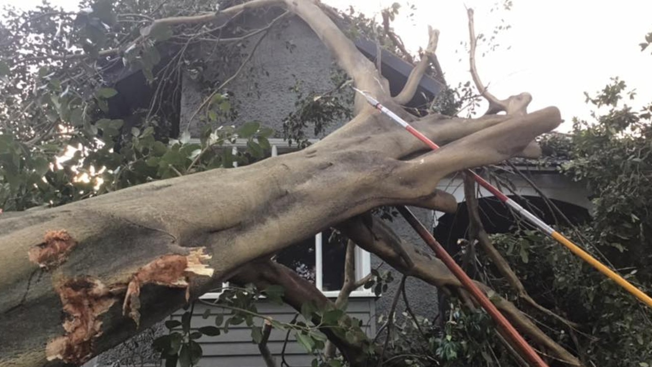 SES volunteers work to remove a large tree that caused significant damage to a home in Glen Iris in Melbourne's southeast. Picture: Facebook/SES Malvern Unit