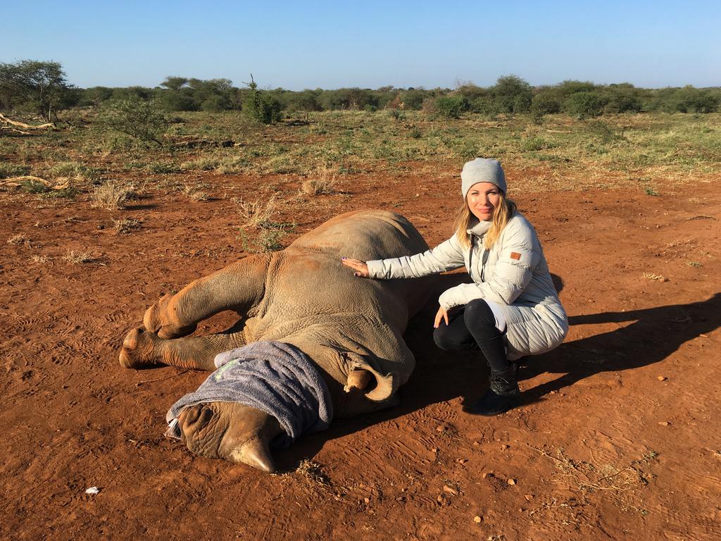 Anti-Poaching Safari: Tracking the white and black rhino in South ...